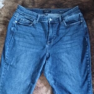 Judy Blue Women's Skinny Jeans in Blue Denim